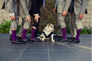 Modern-purple-wedding-groomsmen-socks