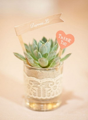 succulent-wedding-centerpieces-for-rustic-inspired-weddings