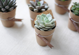 succulent-wedding-favor